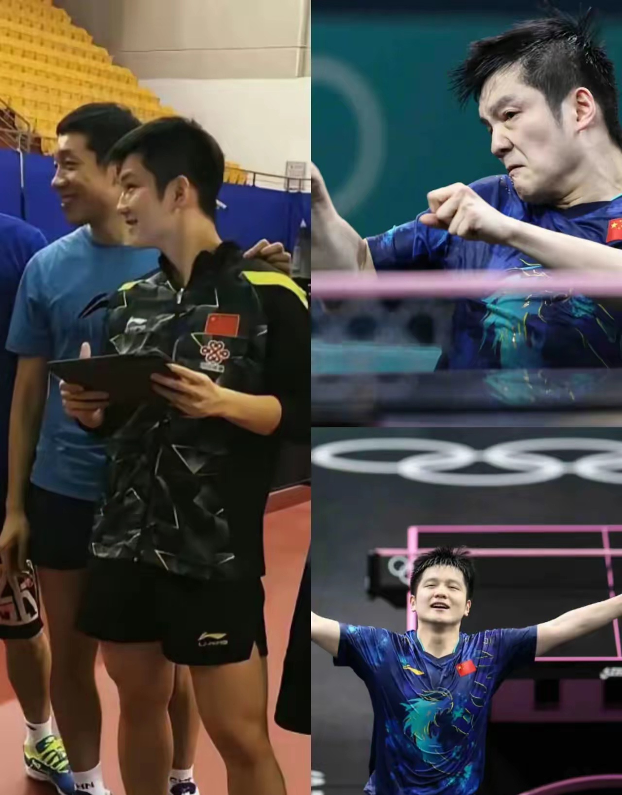 开云体育APP下载-中国队力克葡萄牙队，樊振东惊艳四座